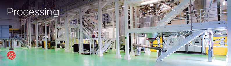 Italian Modern Artisan Chocolate: The Agostoni famly passion for over sixty years.